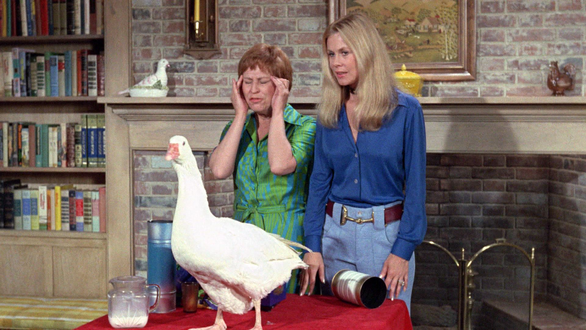 Ein zauberhafter Babysitter