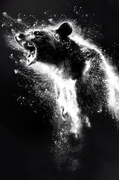 Cocaine Bear