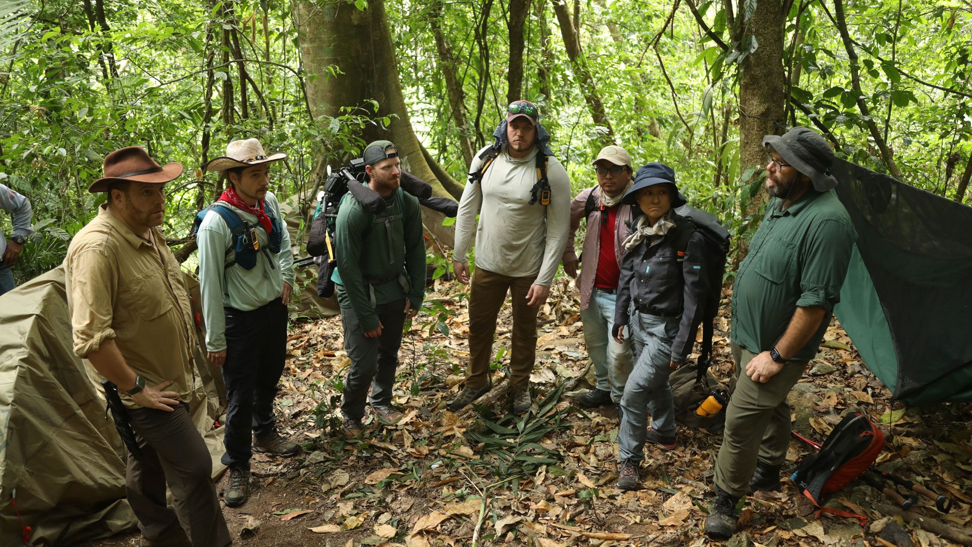 Die Suche nach dem weißen Jaguar