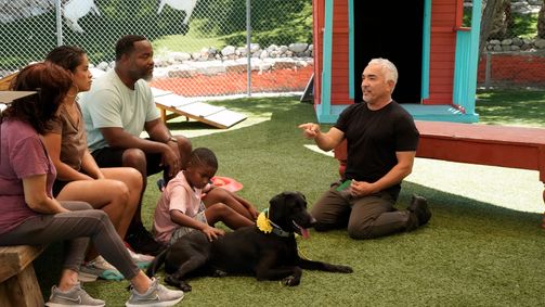Cesar Millan: Better Human Better Dog - Bessere Menschen, bessere Hunde Cesar Millan: Better Human Better Dog - Bessere Menschen, bessere Hunde Folge 6: Ein Retter für die Familie
