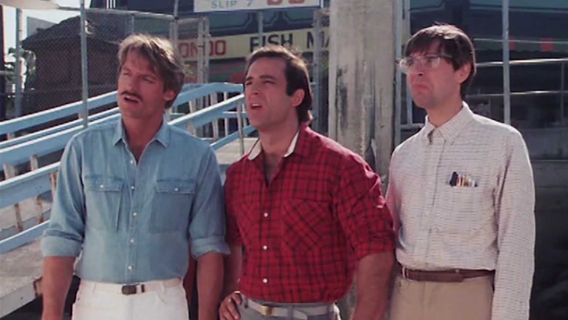 Auf den Hund gekommen