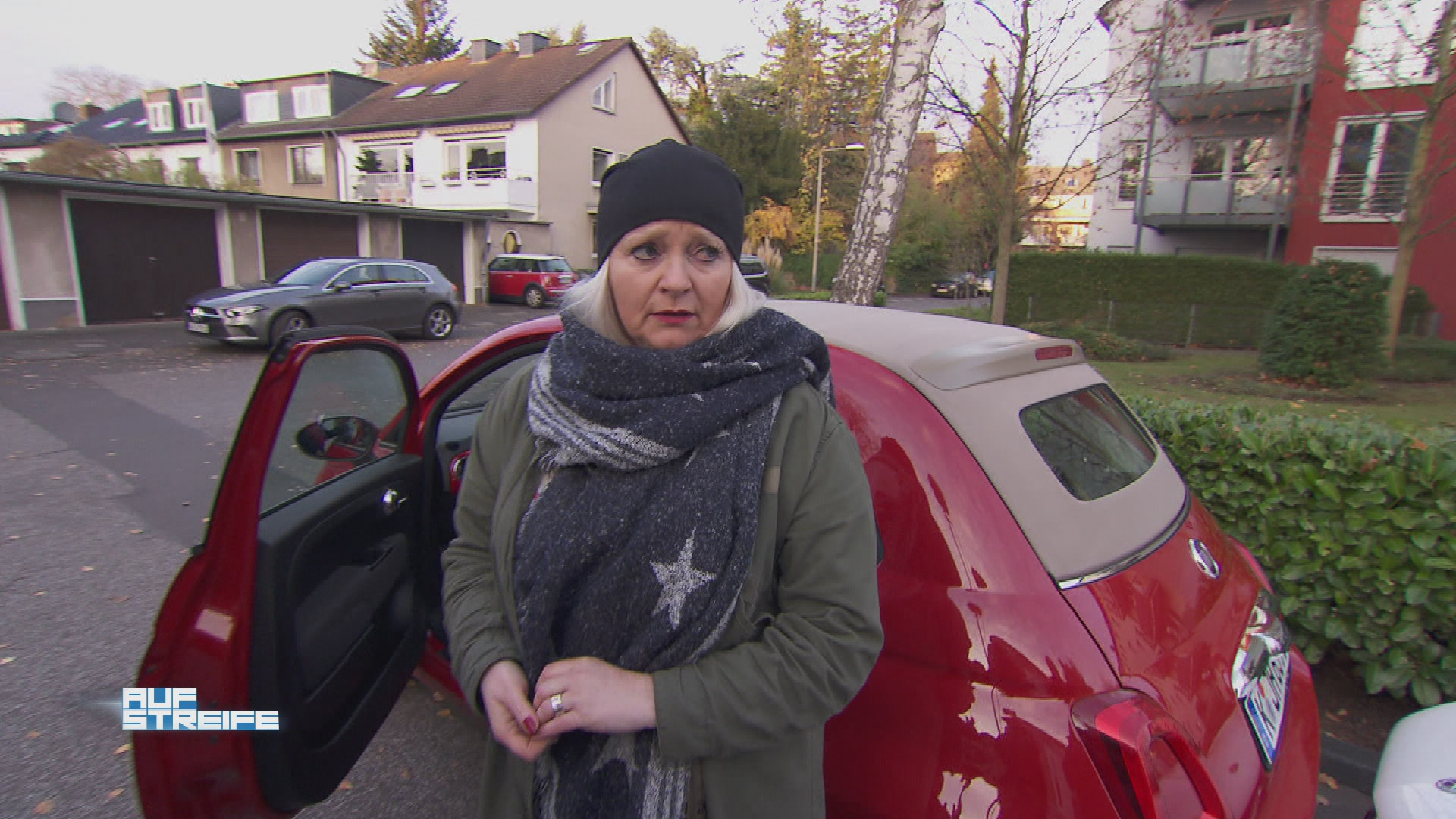 Who let the dog out?