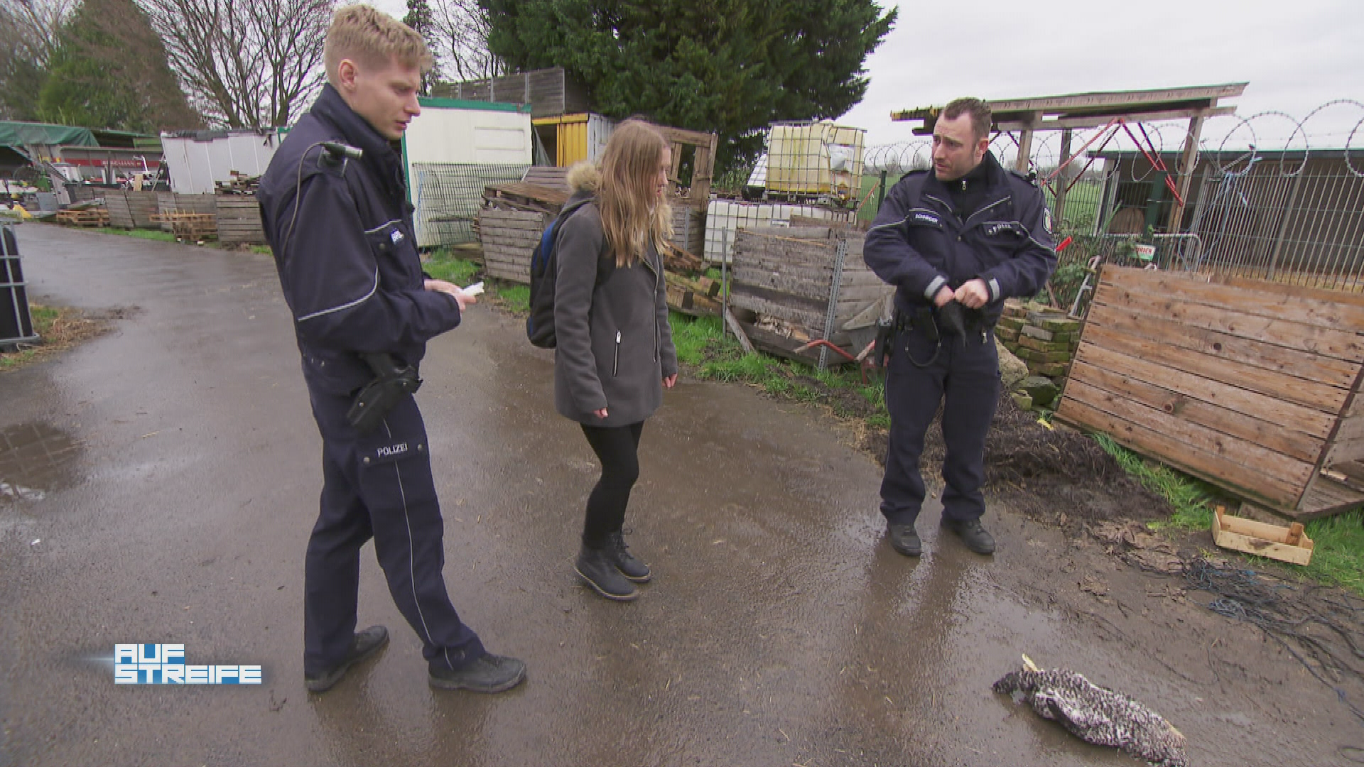 Den Vogel abgeschossen