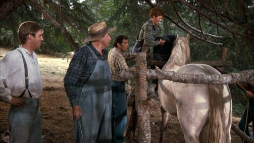 Die Waltons Die Waltons Folge 13: Der letzte Mustang