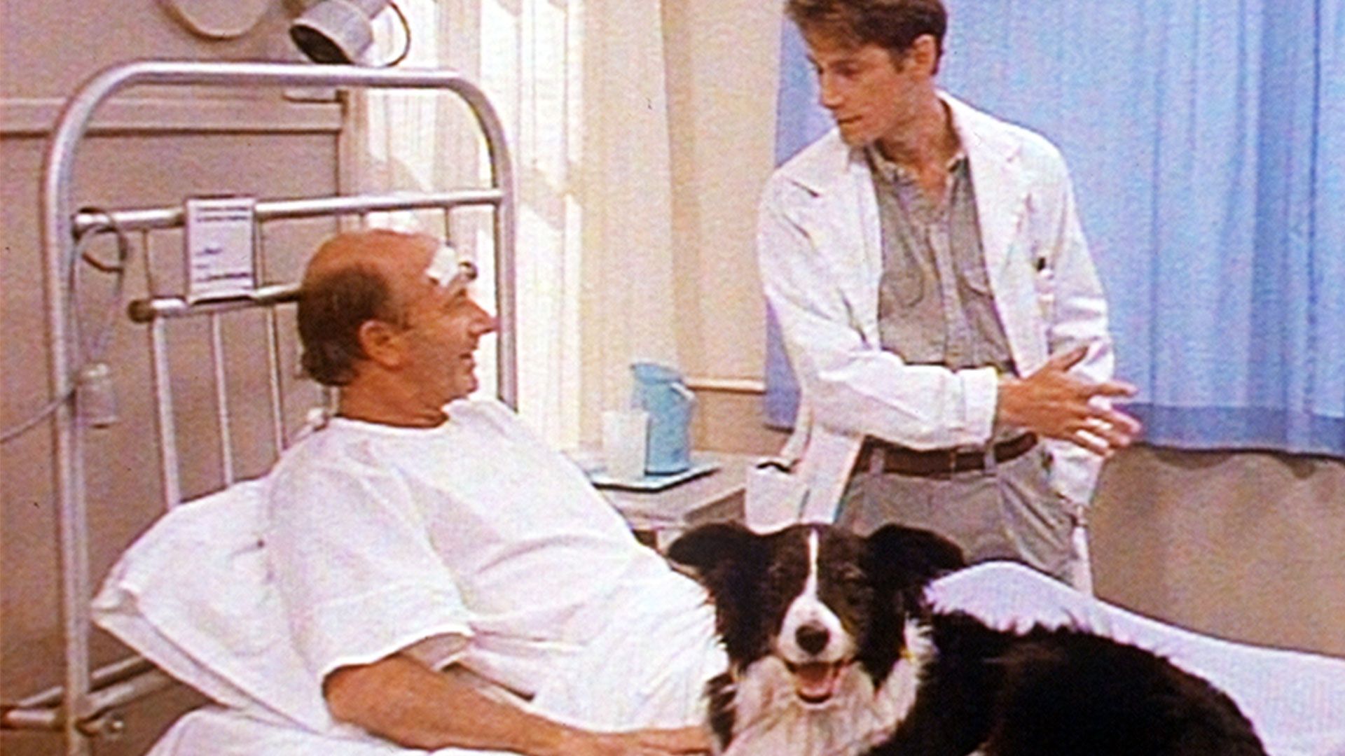 Ein Hund und eine Tochter