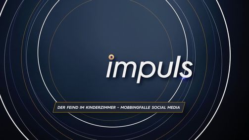 impuls - Der PULS 24 Doku-Abend impuls - Der PULS 24 Doku-Abend 2021 - rechtefrei Folge 11: impuls - Der PULS 24 Doku-Abend vom 31.08.2021- rechtefrei