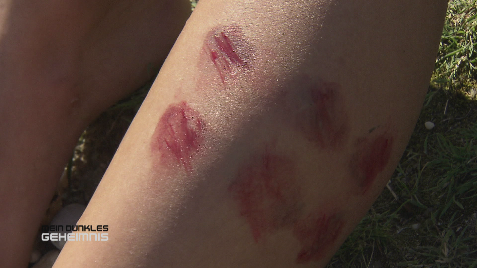 Krokodil im Badesee