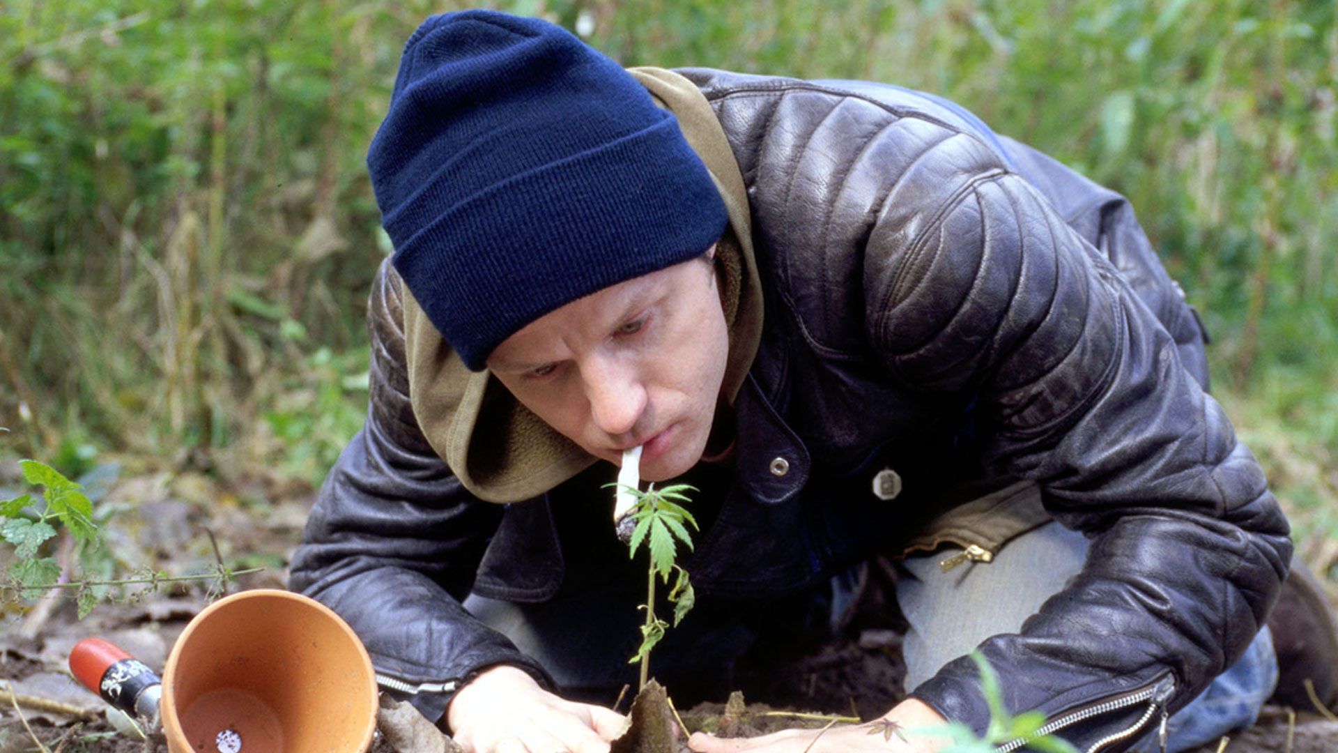 Jungfrau im Wunderland