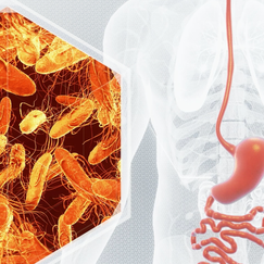 Neue Virus-Variante lässt Fallzahlen drastisch ansteigen