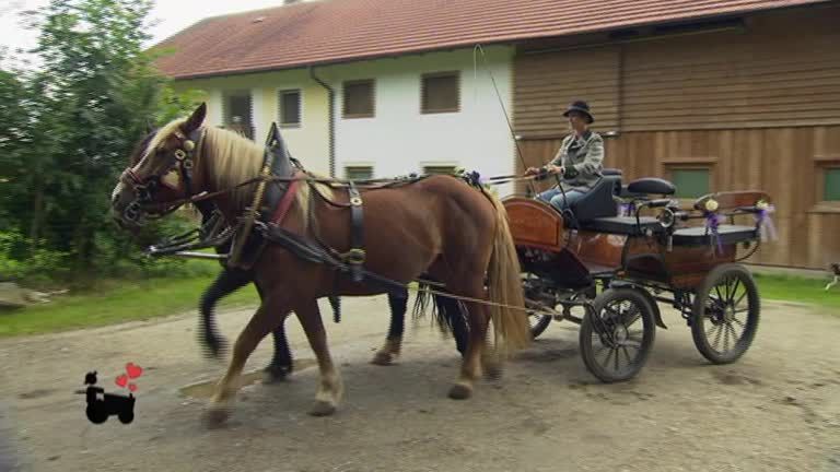 Bauer sucht Frau Staffel 13 Folge 4 - Die Hofwochen