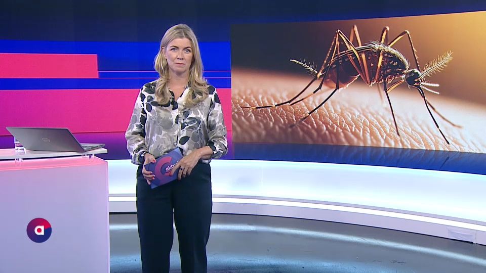 ATV Aktuell vom 10.07.2025