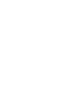 Die Finanzpolizei