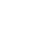 Die Finanzpolizei
