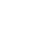 Die Finanzpolizei