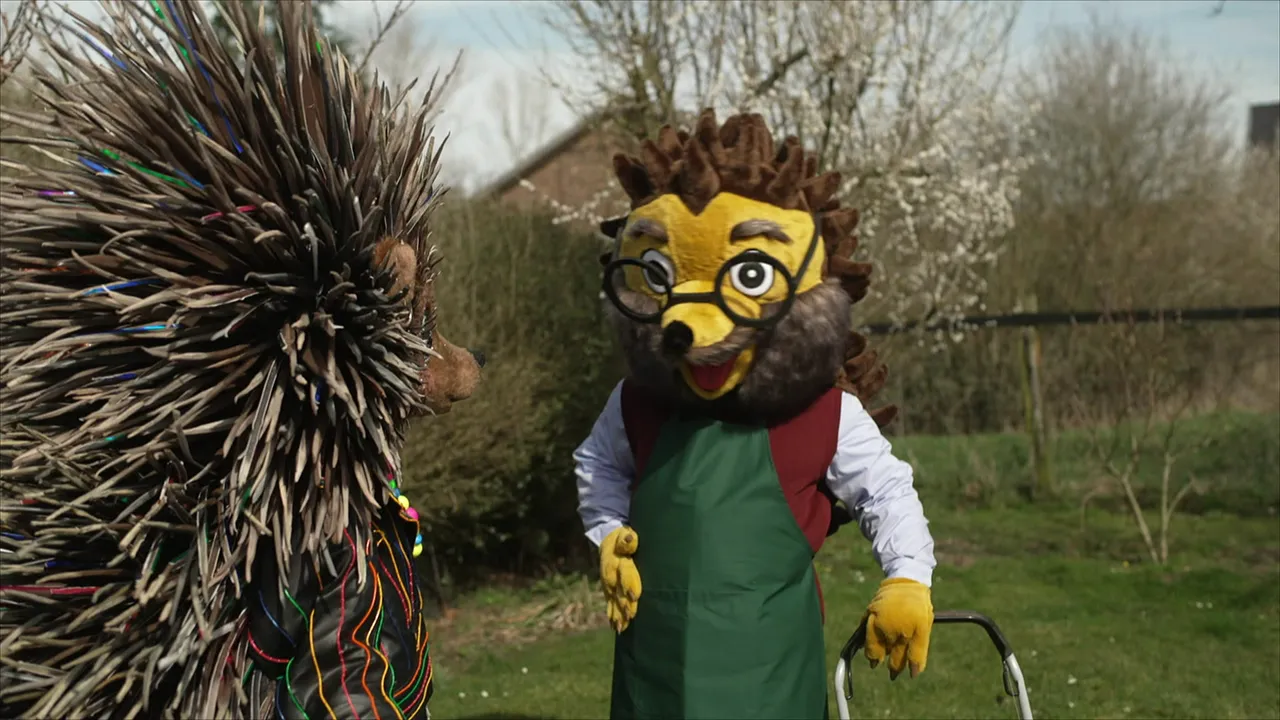 Video Hintergrund