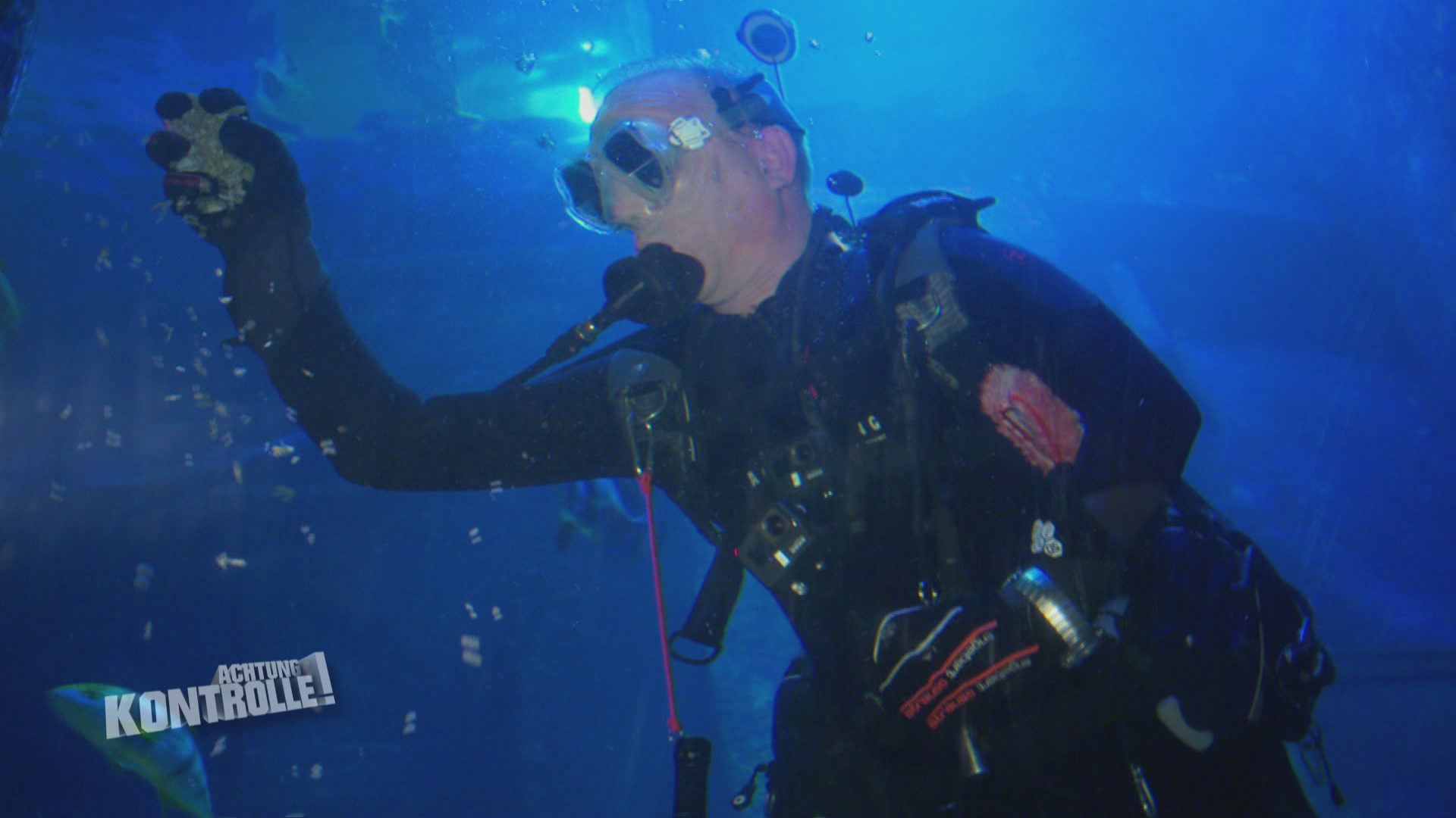 Thema u. a.: Mit 16 Haien unter Wasser - Hai-Becken Reinigung