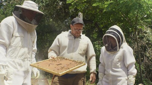 König der Bienen König der Bienen Folge 4: Summen im Düsentriebwerk