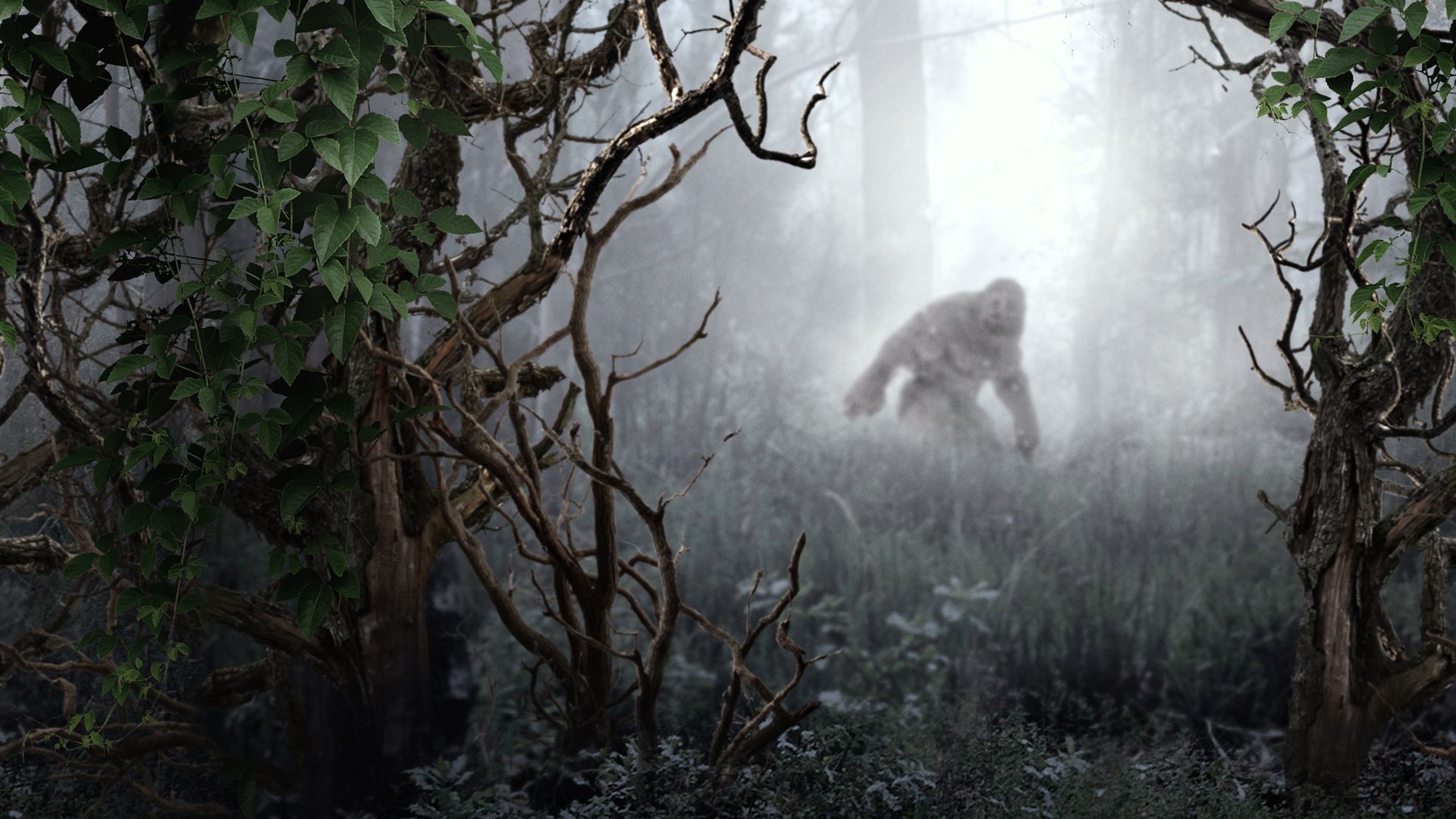 Monsterjagd weltweit