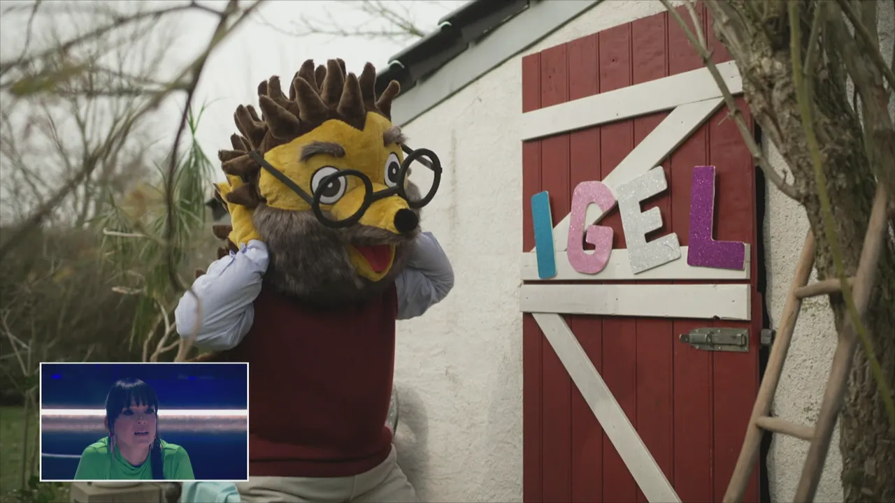 Video Hintergrund