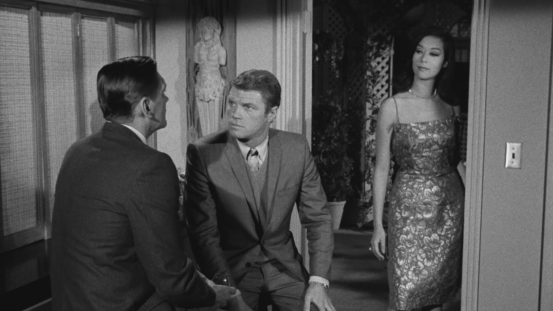 Die verzauberte Katze