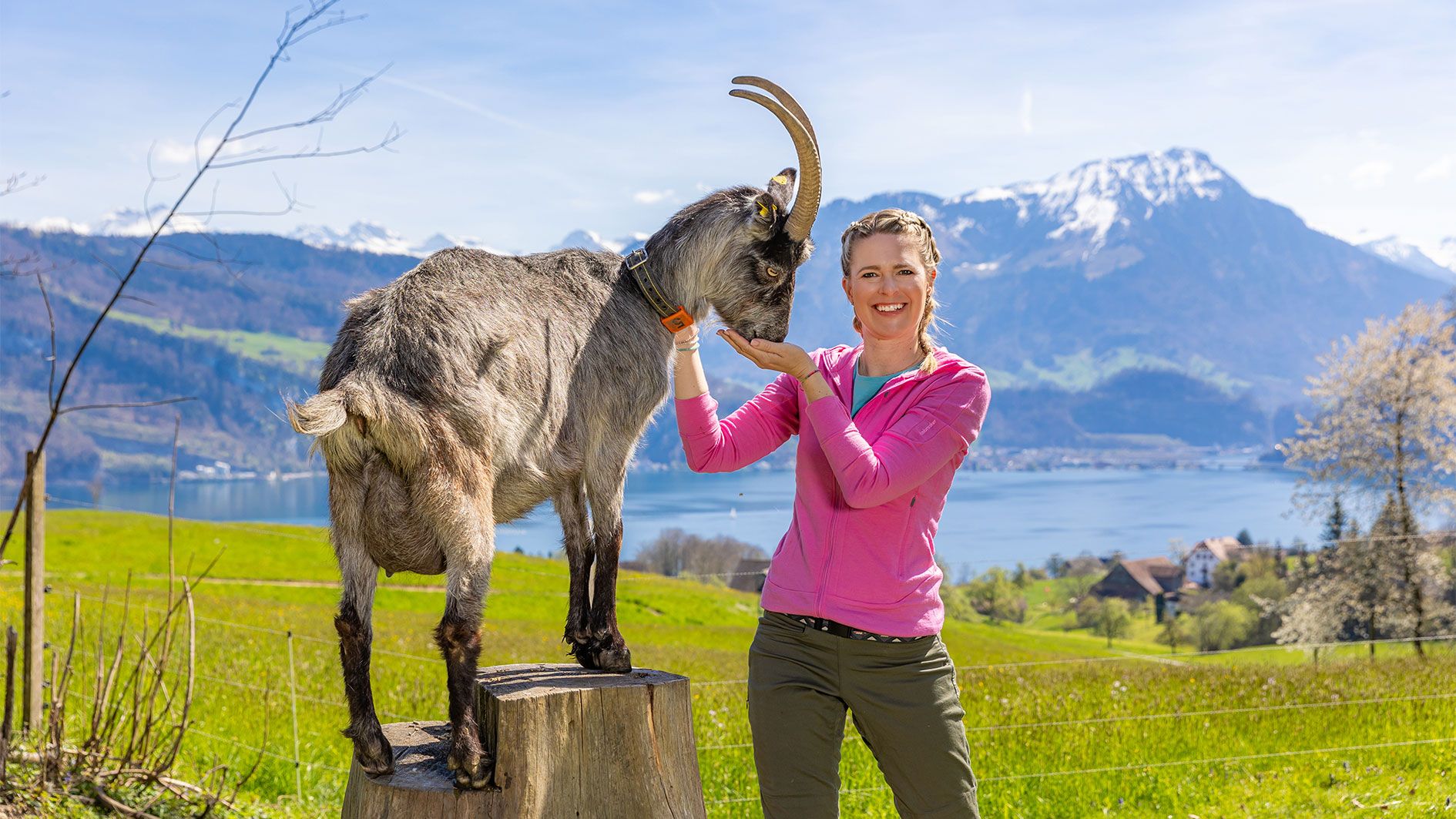 Horwer und Hergiswiler Seebucht
