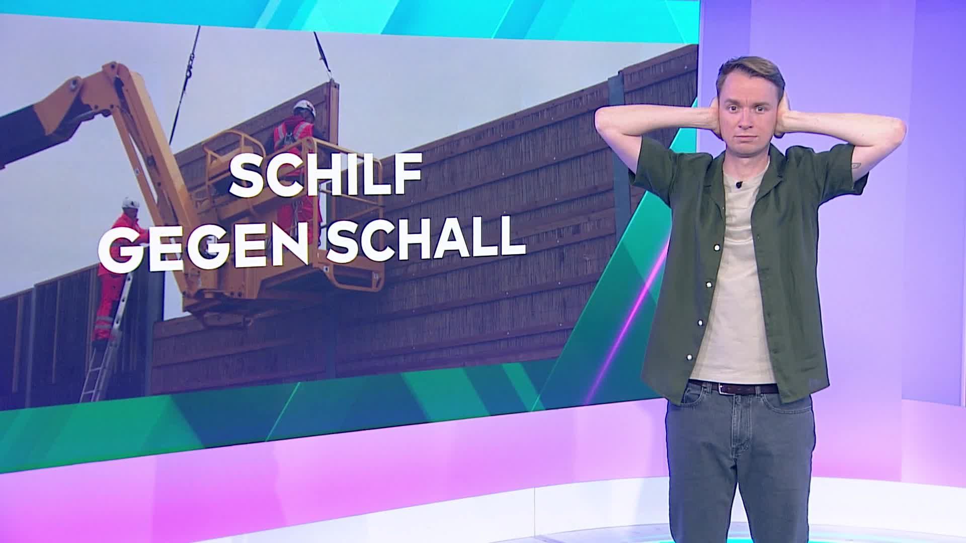 Lärmschutzwände aus nachhaltigen Rohstoffen