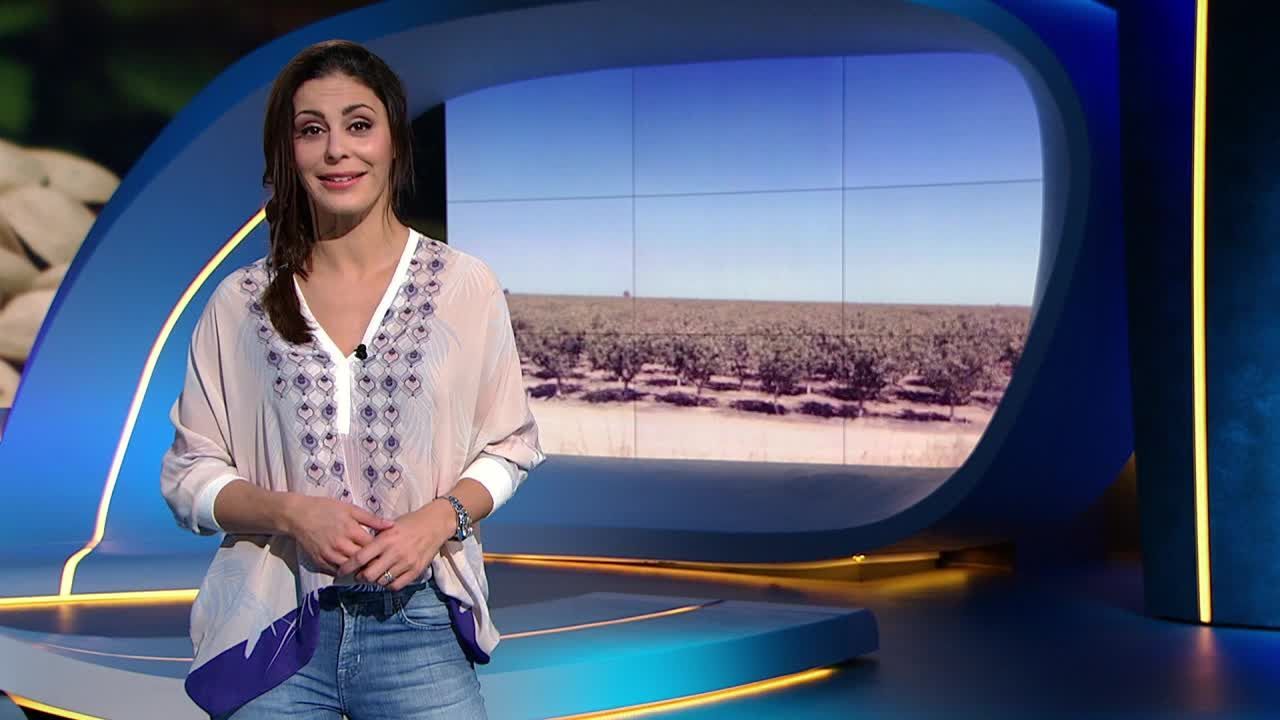 Wo kommt unser Essen her?