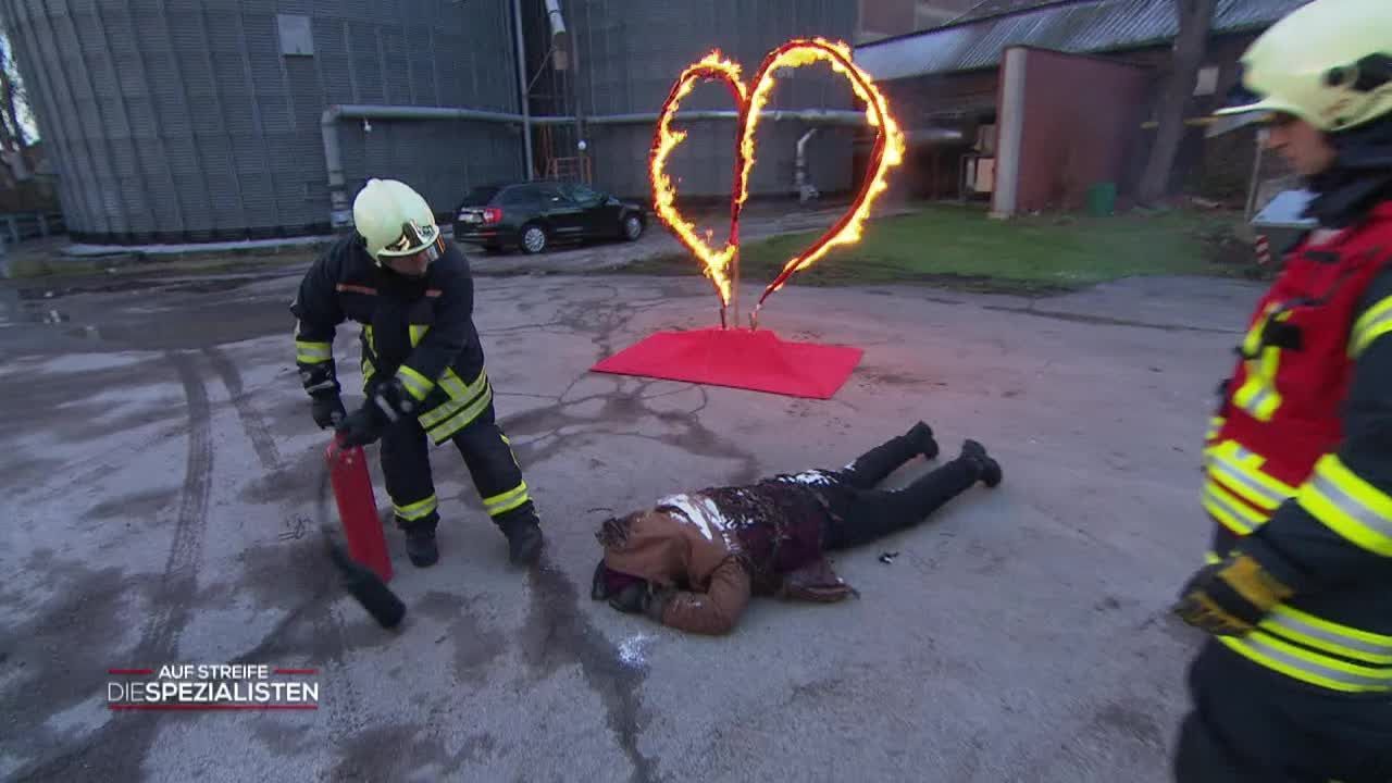 Auf Streife Die Spezialisten Staffel 2016 Folge 11 Ein Stich ins Herz