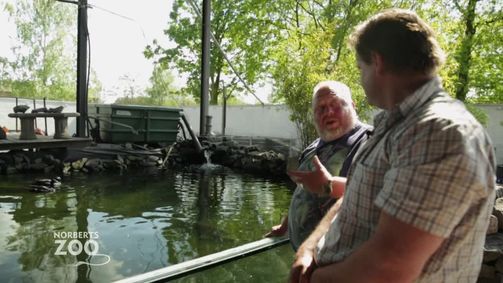 Norberts Zooladen: Der größte Tierladen der Welt Norberts Zooladen: Der größte Tierladen der Welt Folge 3: Vom Teich in Norberts Reich