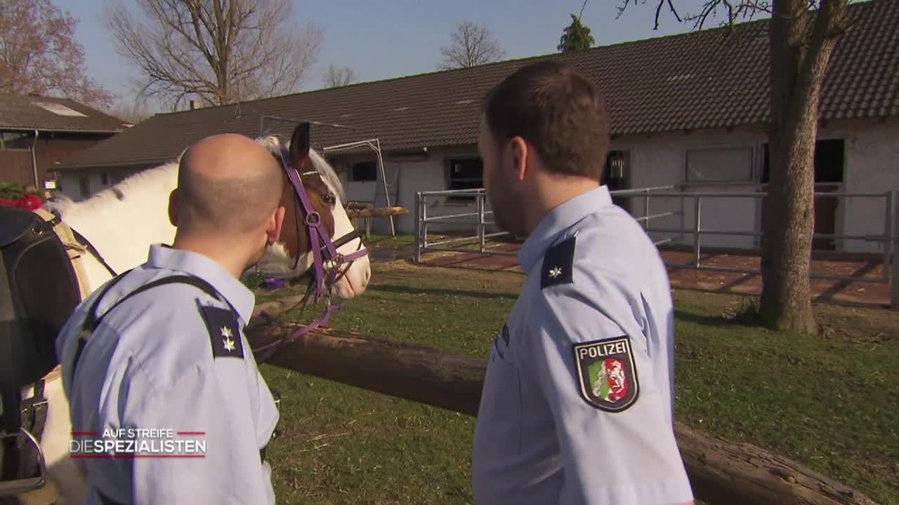 Da steht ein Pferd auf weiter Flur