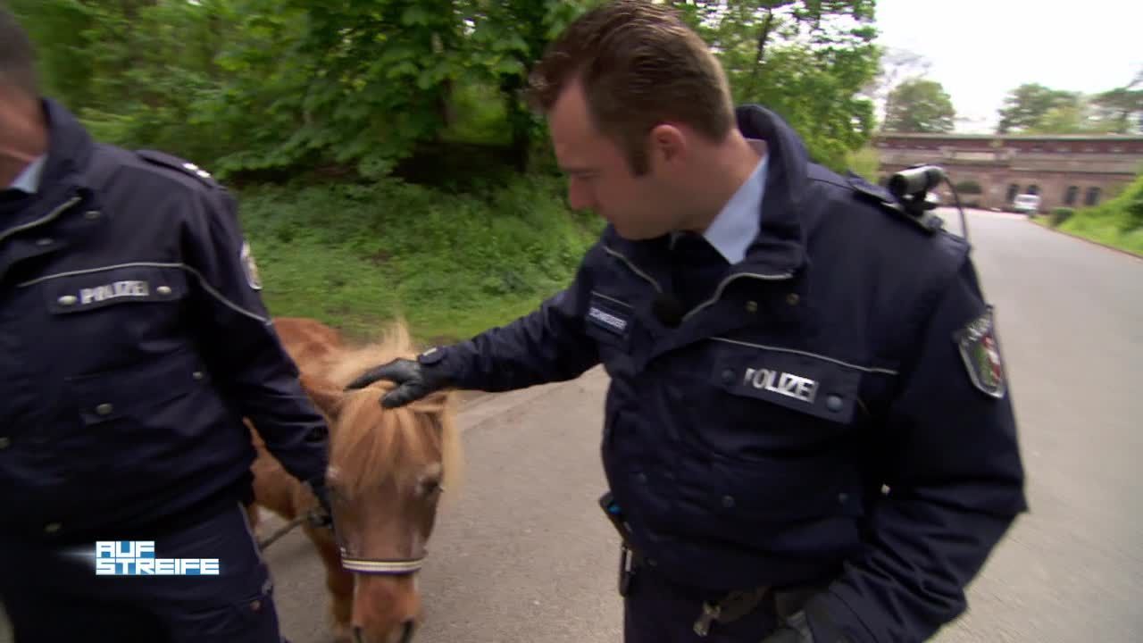 Der Baader-Ponyhof-Komplex