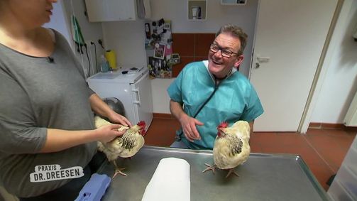Praxis Dr. Dreesen - Ein Hof für Tiere Staffel 2018 Folge 5: Folge 5