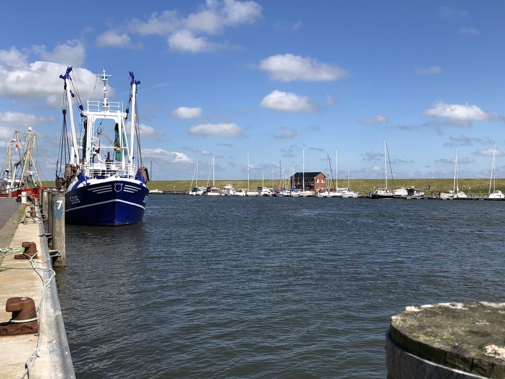 Die Suche nach dem Gold der Nordsee