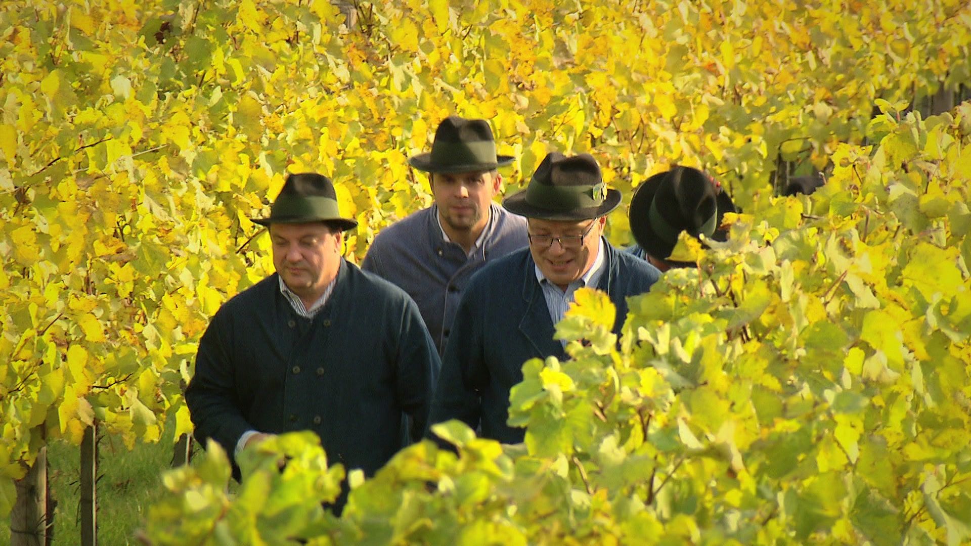 Die Weinhüter