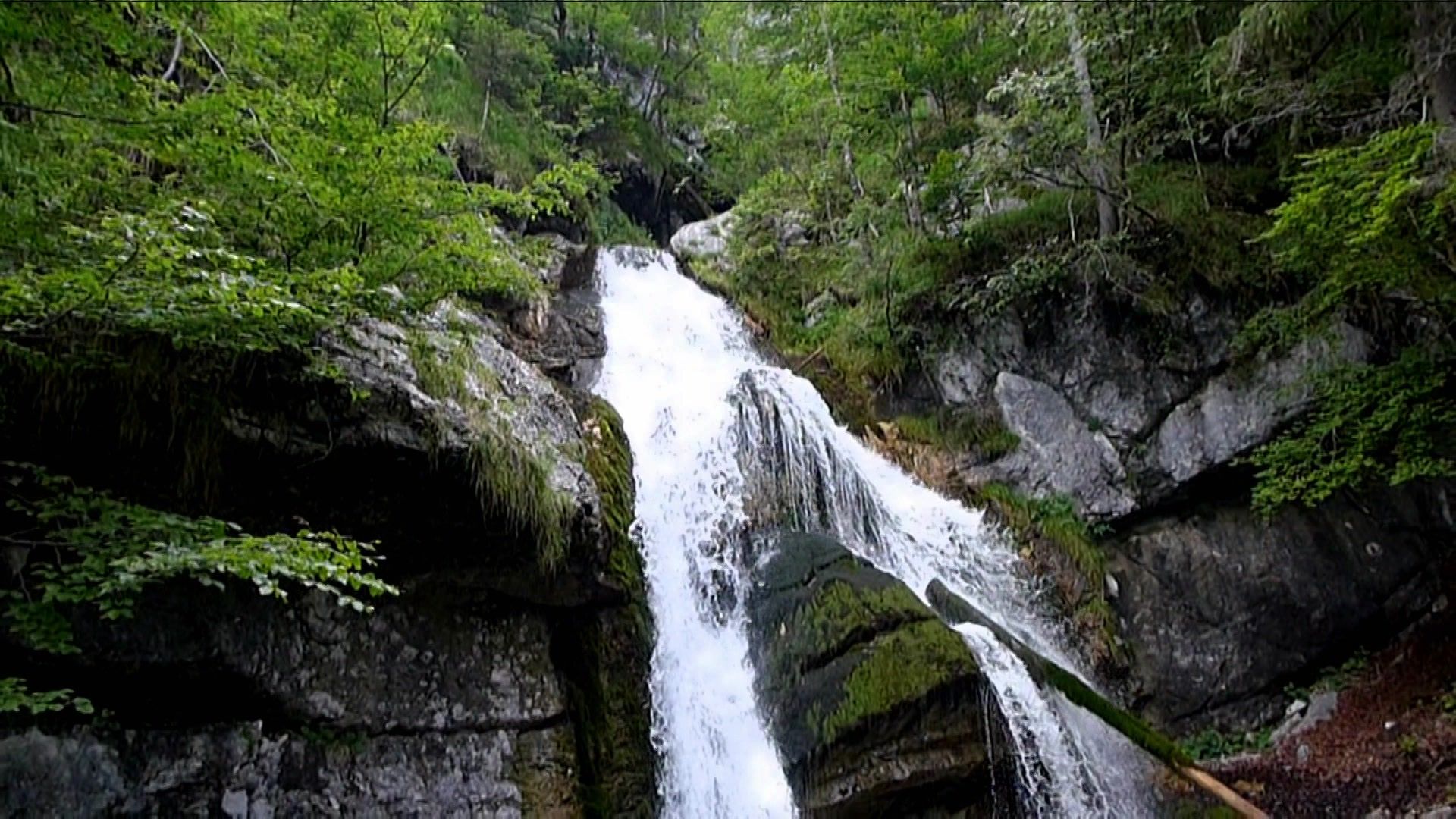 Einfach gut leben: Das Wunder Wasser