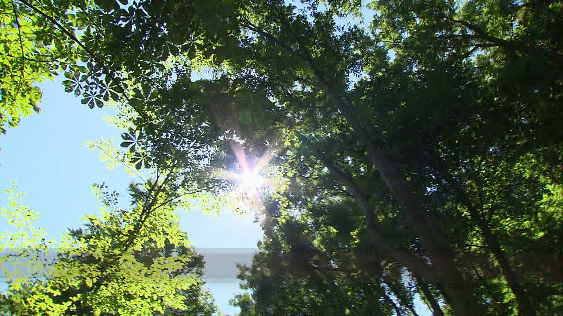 Kurzurlaub in Österreich - Baden