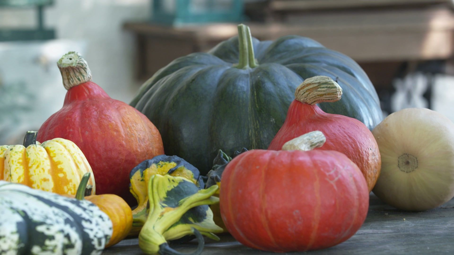 Einfach gut leben – Herbstzeit