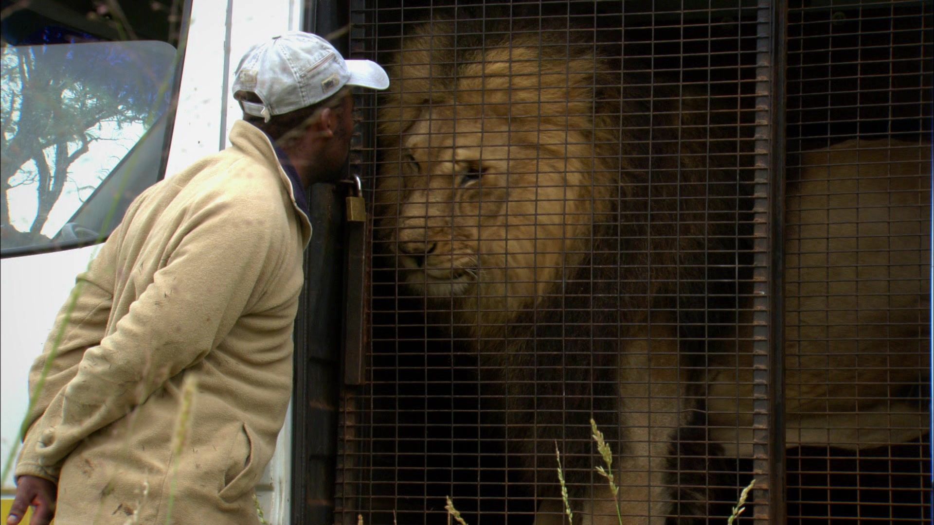 Terra Mater Staffel 1 Folge 2 Der mit den Löwen spricht Auf zu neuen Abenteuern (2/2) Terra Mater Staffel 1 Folge 2 Der mit den Löwen spricht Auf zu neuen Abenteuern (2/2)