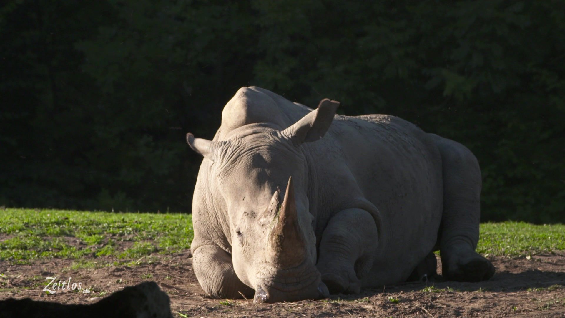 Hellbrunn liegt in Afrika!