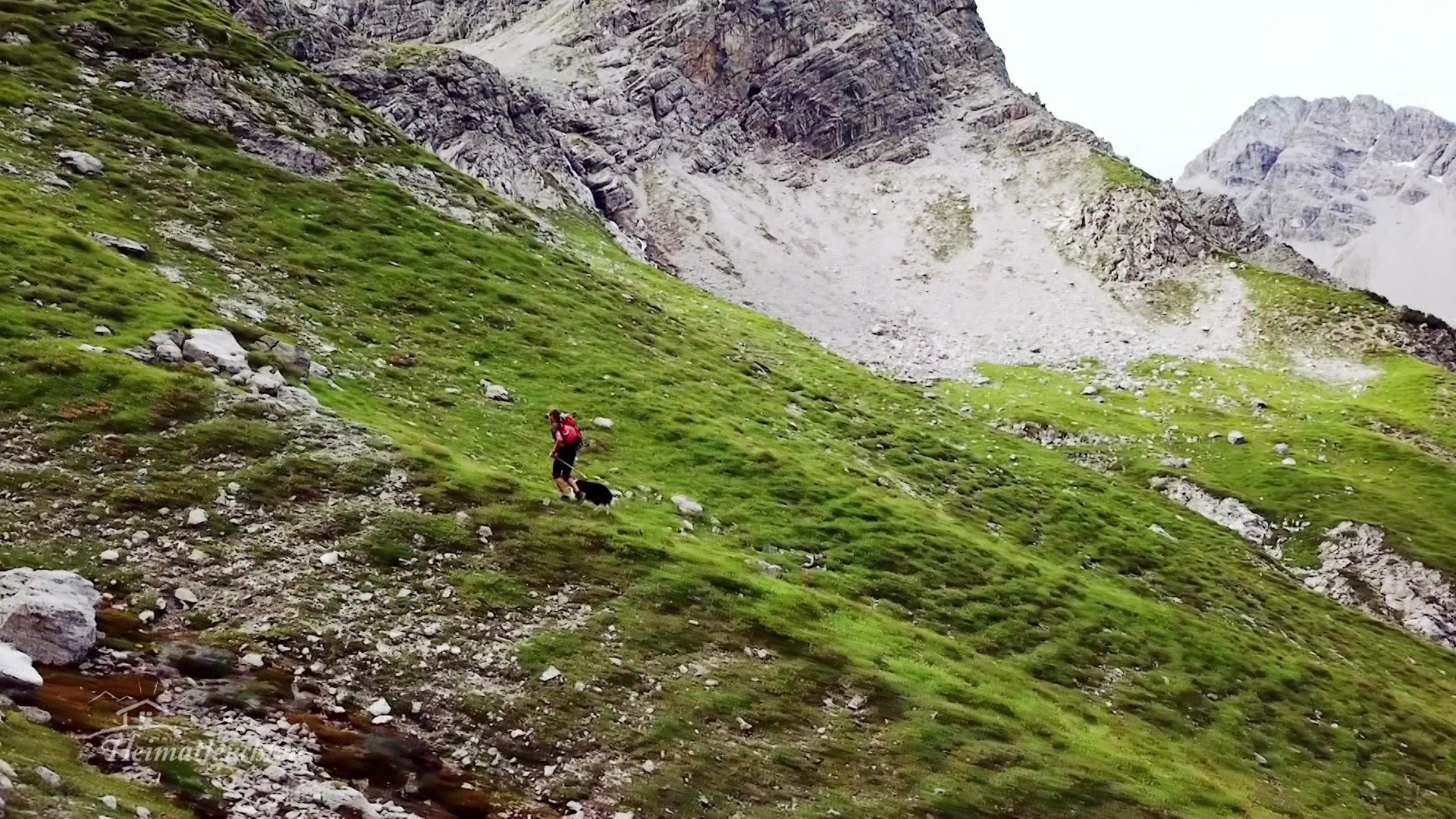 Käse, Kühe und ein Klavier - Almleben in Tirol