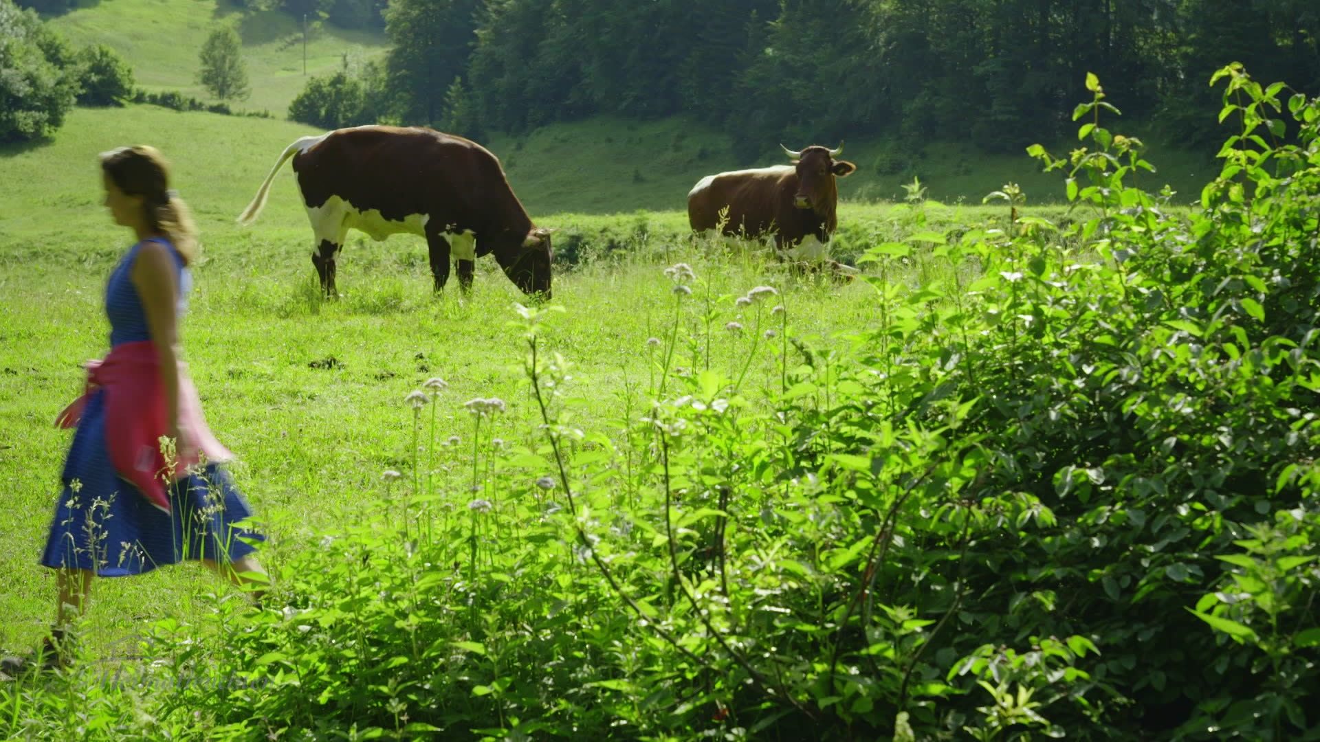 Hin über d'Alm - An der Grenze des Heutals