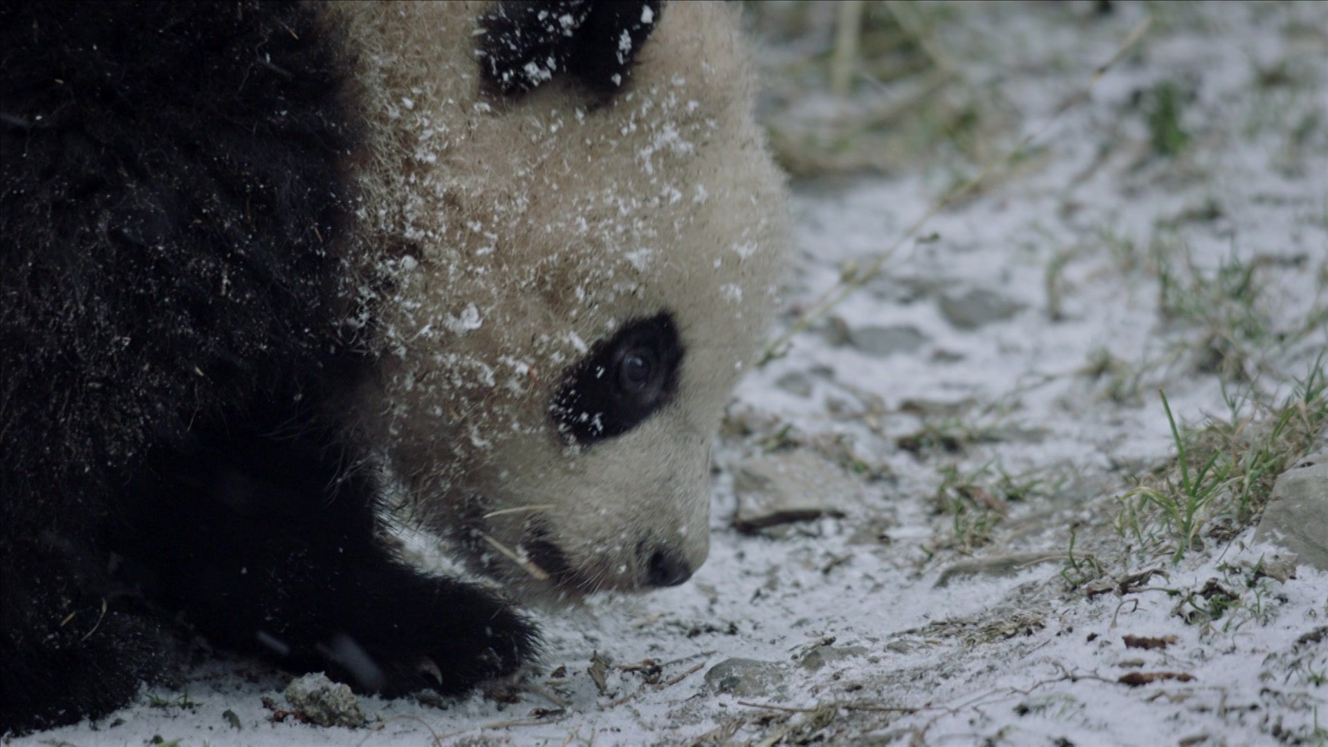 Chinas unbekannte Natur