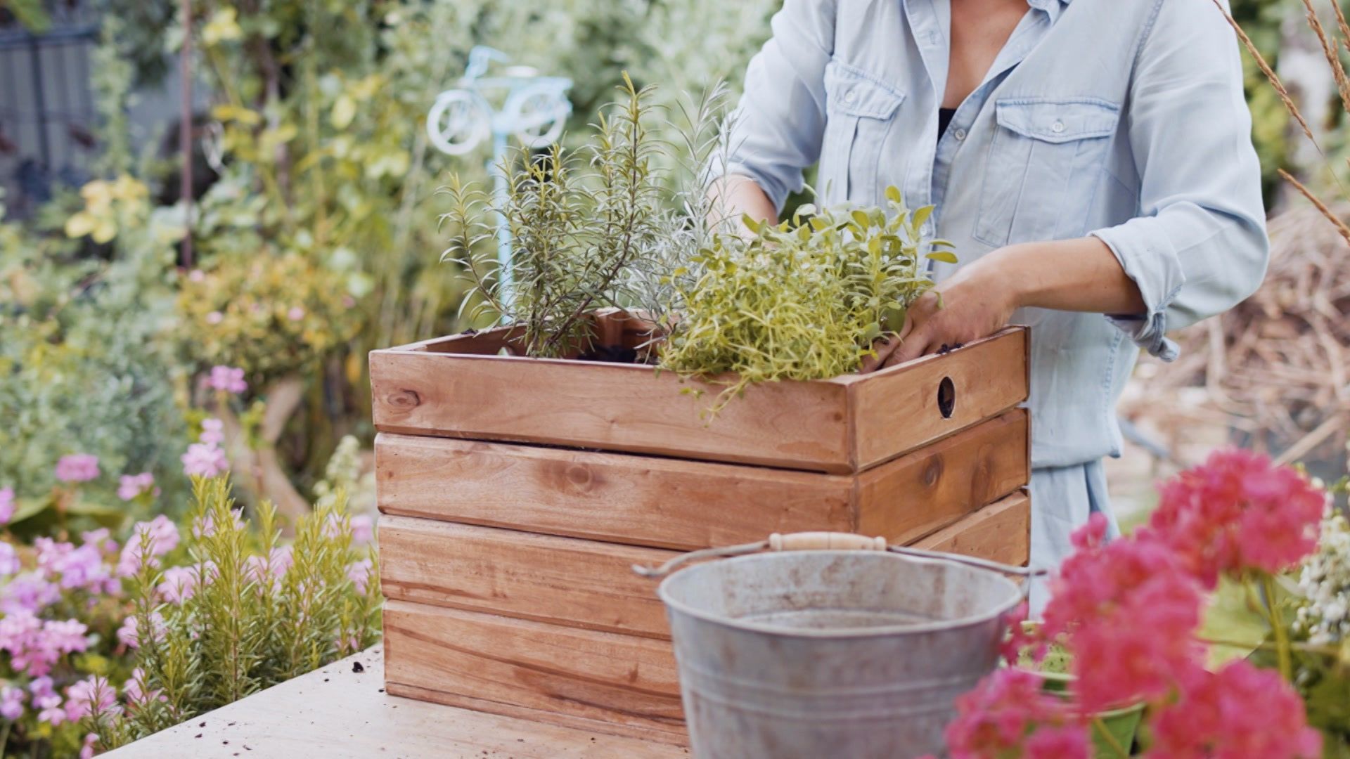 Garten-Tipps von Josef Starkl: Alles zum Thema Kräuter