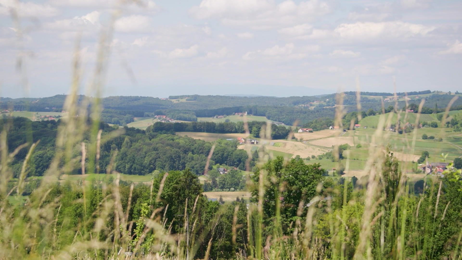 Reifer Speck und frische Wurzeln