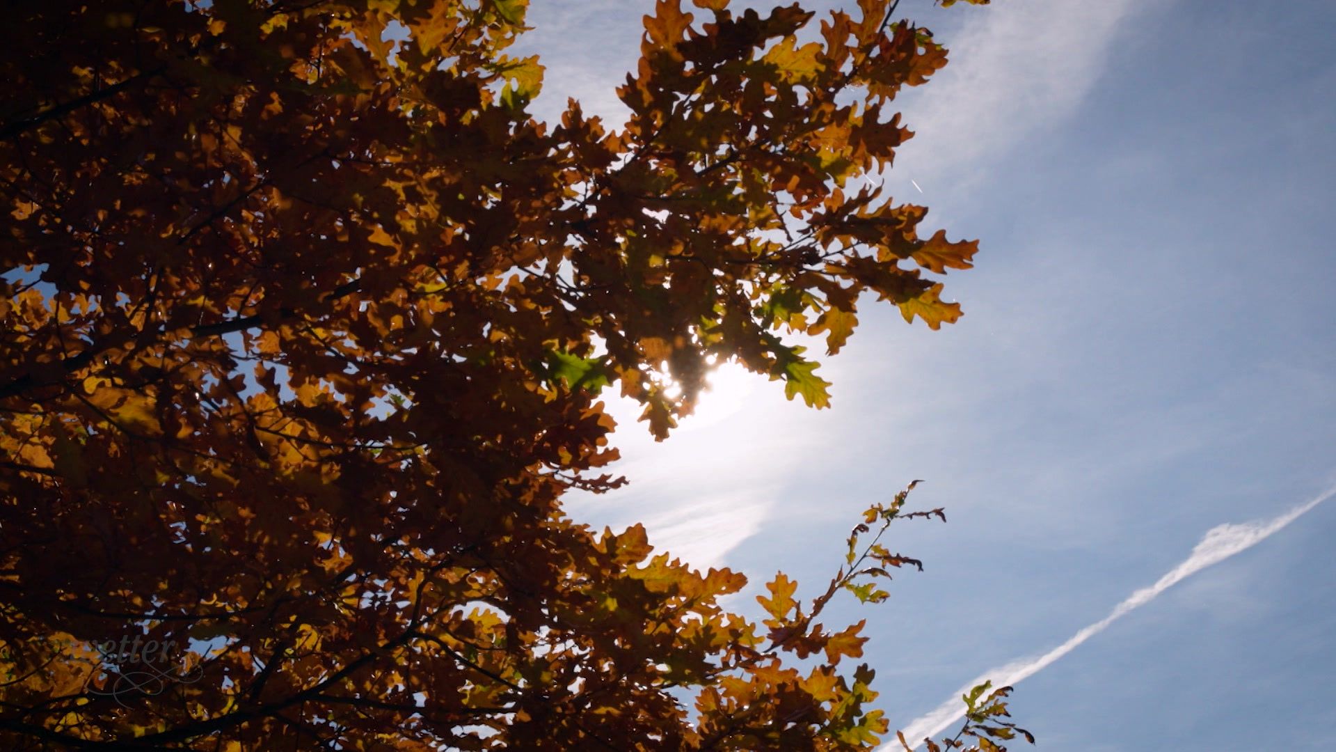 29. Oktober - Servus Wetter