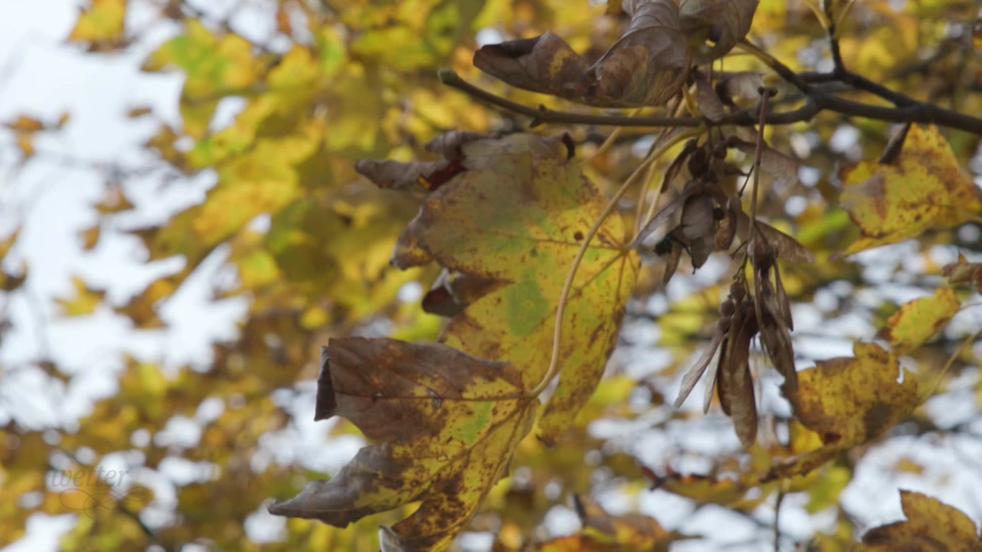 2. November - Servus Wetter