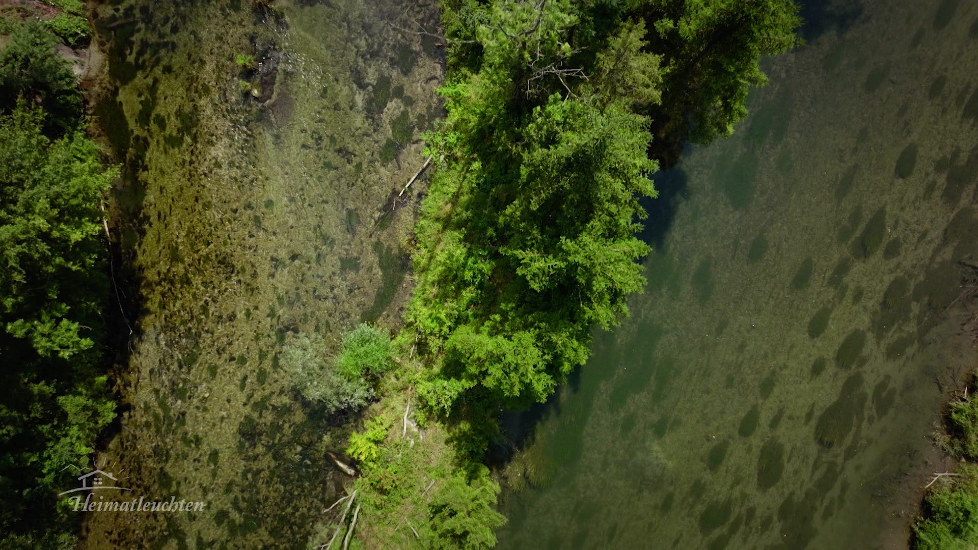 Flussgeschichten - An der Traisen