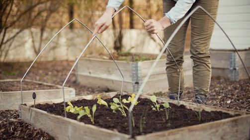Gartln mit Starkl Staffel 5 Folge 1: Garten-Tipps von Josef Starkl: Der Gemüsegarten - Frühbeet & mehr