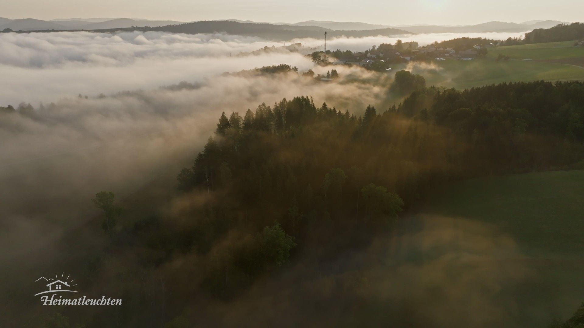 Der Sauwald - Wildes Land, sanfte Rebellen