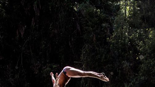 ABC of ... ABC von ... Staffel 1 Folge 18: ABC of... Cliff Diving